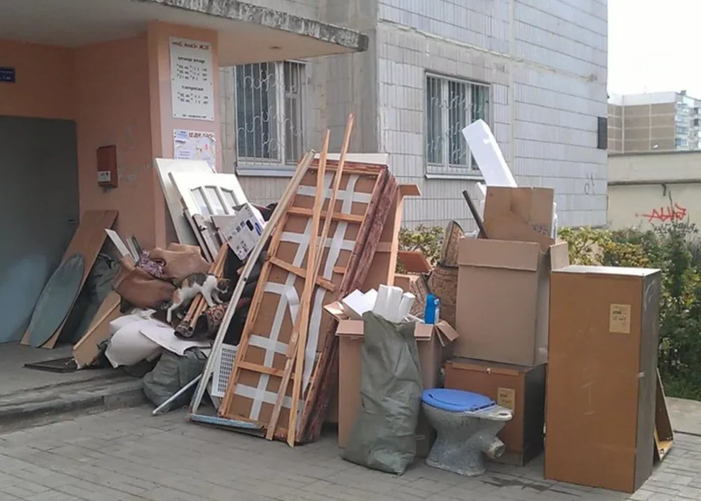 Профессиональный вывоз мусора из квартиры в Ишимбае в октябре