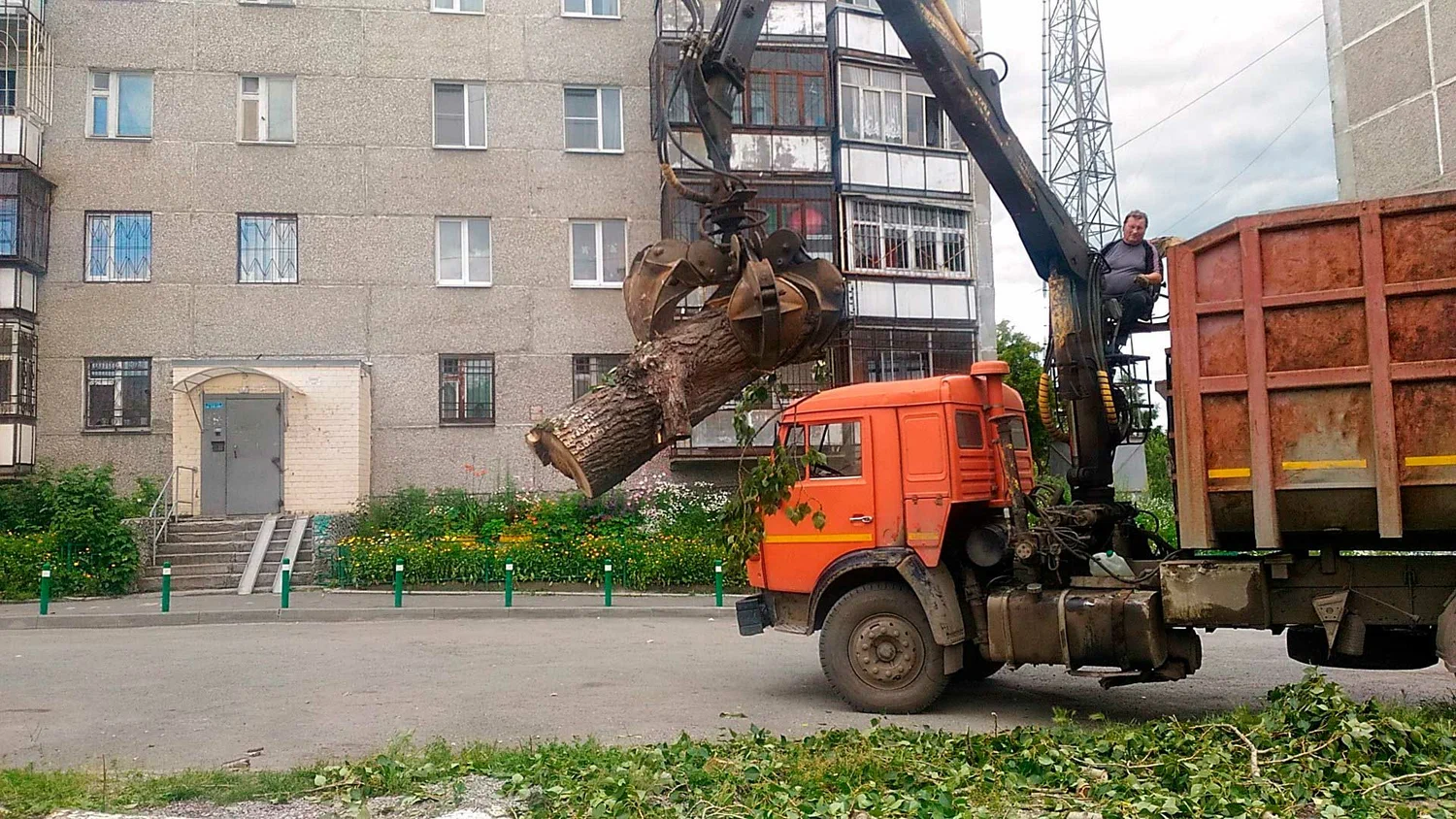 Вывоз спиленных веток и деревьев в Ишимбае от ПроМусор: порубочные остатки, утилизация, цена от 2941 руб