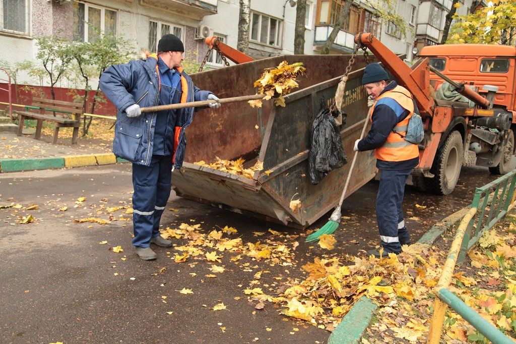 Вывоз опавшей листвы и растительного мусора в Ишимбае от ПроМусор – цена от 4563 руб., быстрая уборка и утилизация